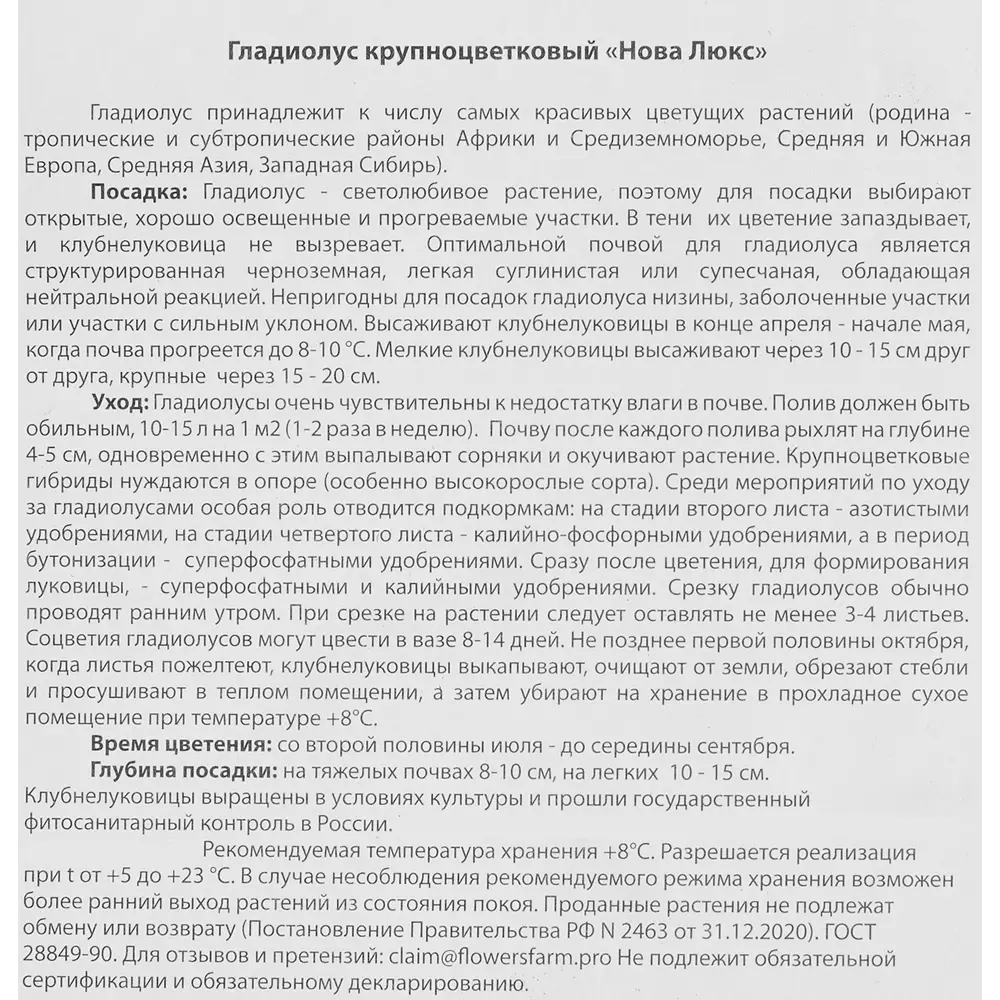 Гладиолус крупноцветковый Нова луковица 10/12 83783827 STLM-2139566 Santreyd  - Вид №1