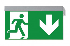 DST-1908 Ikus 2211-p Daisalux Светильники сигнальные Серебристо-Серый