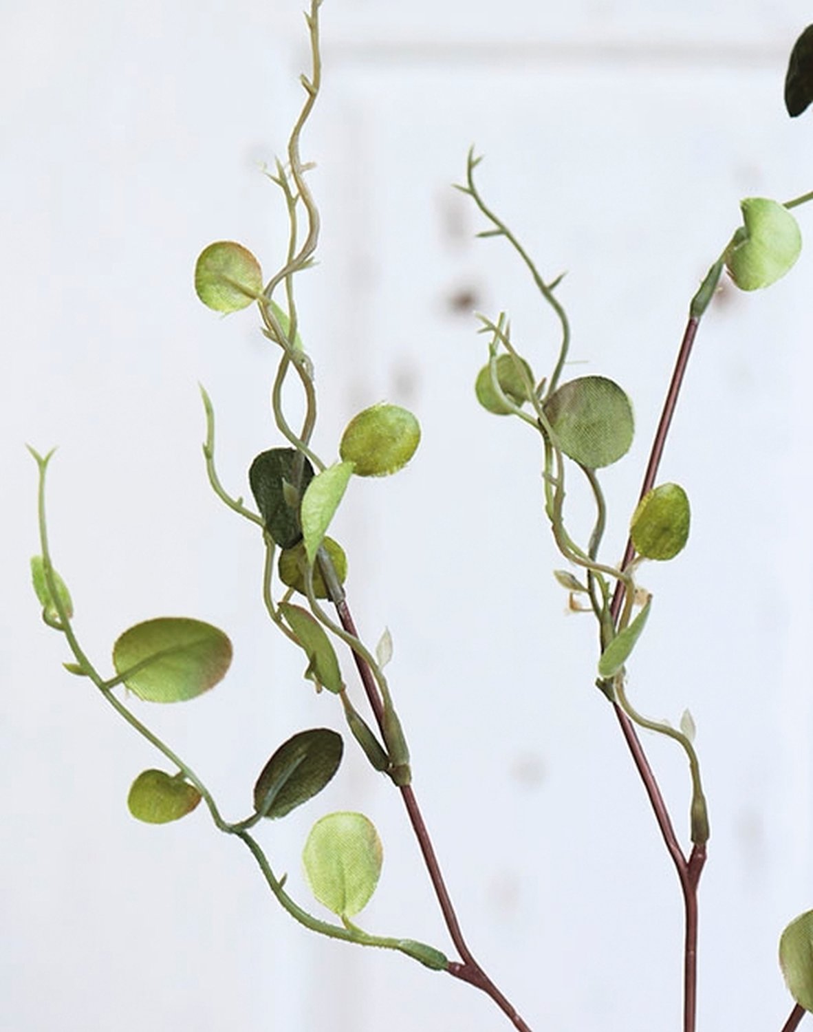 6998 883 a2 Ветка очитка искусственная, 35 см, зеленая H-andreas  - Вид №2