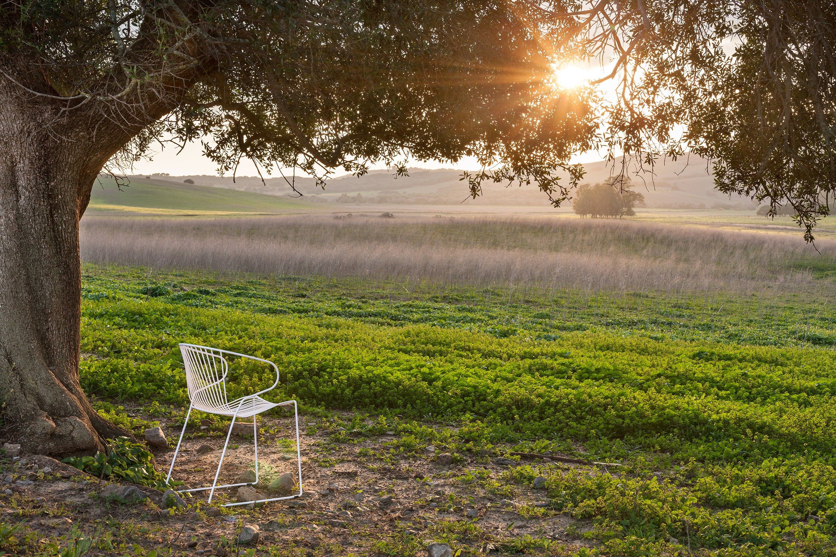 Штабелируемый стальной стул с подлокотниками iSimar Bolonia ARCH-00107047 - Вид №38