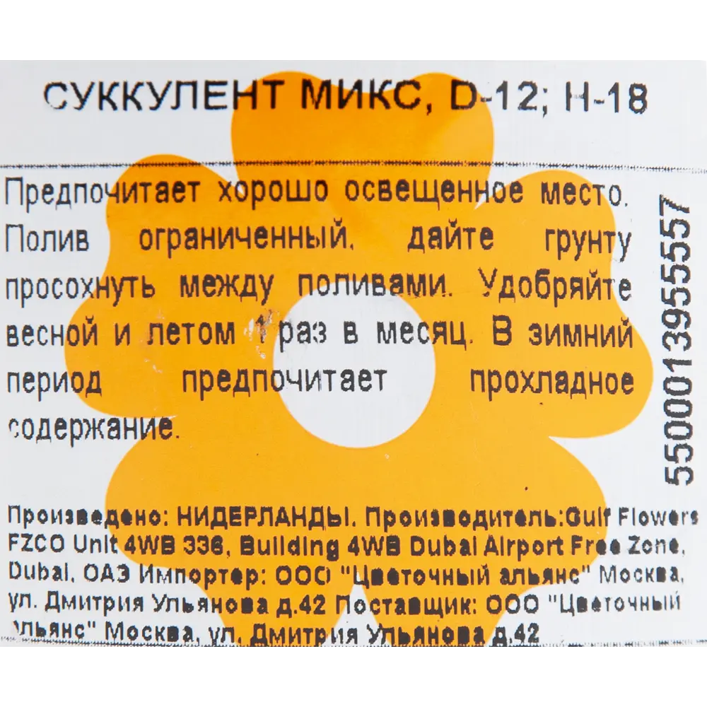 Суккулент микс 12x18 см 82850447 STLM-2036807 Santreyd  - Вид №2