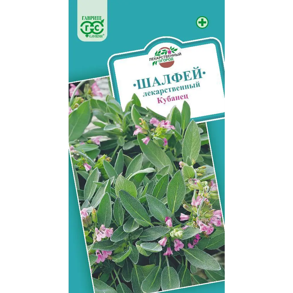 Шалфей лекарственный Кубанец от ГАВРИШ - ароматная аптека в вашем саду 83583250 STLM-0042151