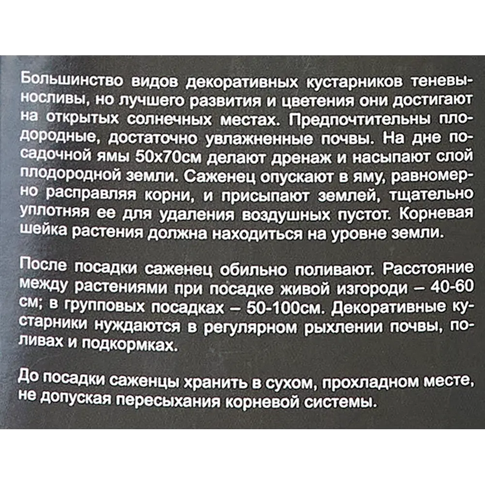 Гортензия метельчатая Уимс Ред ø9 h40 см 83738870 STLM-2139960 Santreyd  - Вид №3