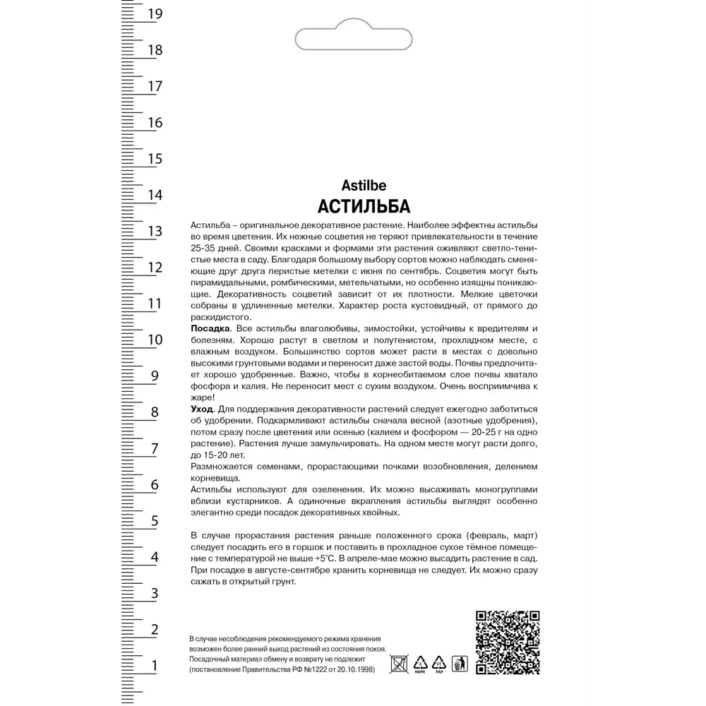 Астильба Арендса Эденс Одиссей 82530326 STLM-2069041 Santreyd  - Вид №1