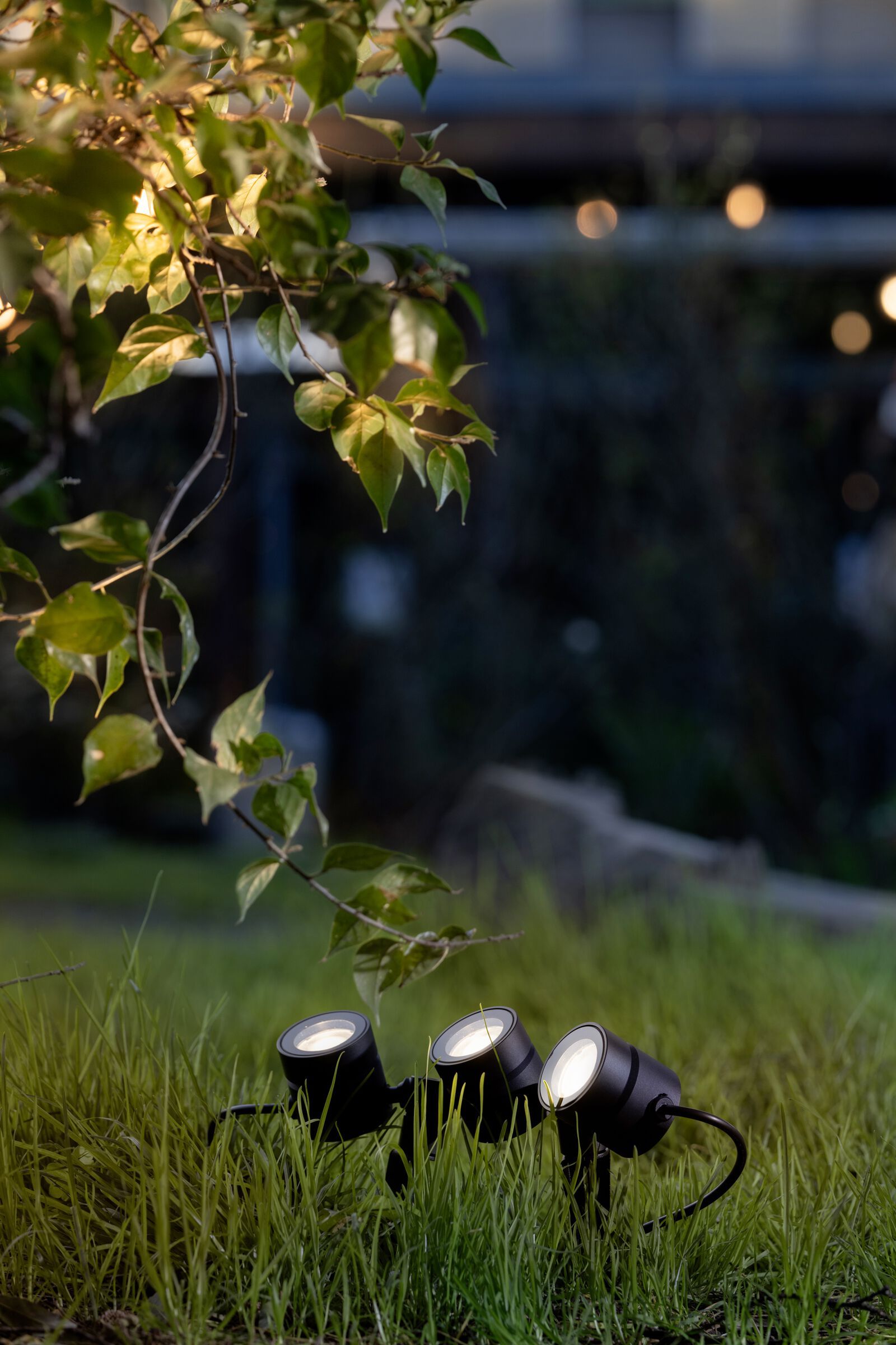 Регулируемый светодиодный наружный прожектор TARGETTI CATIRPEL ARCH-00029740 - Вид №3