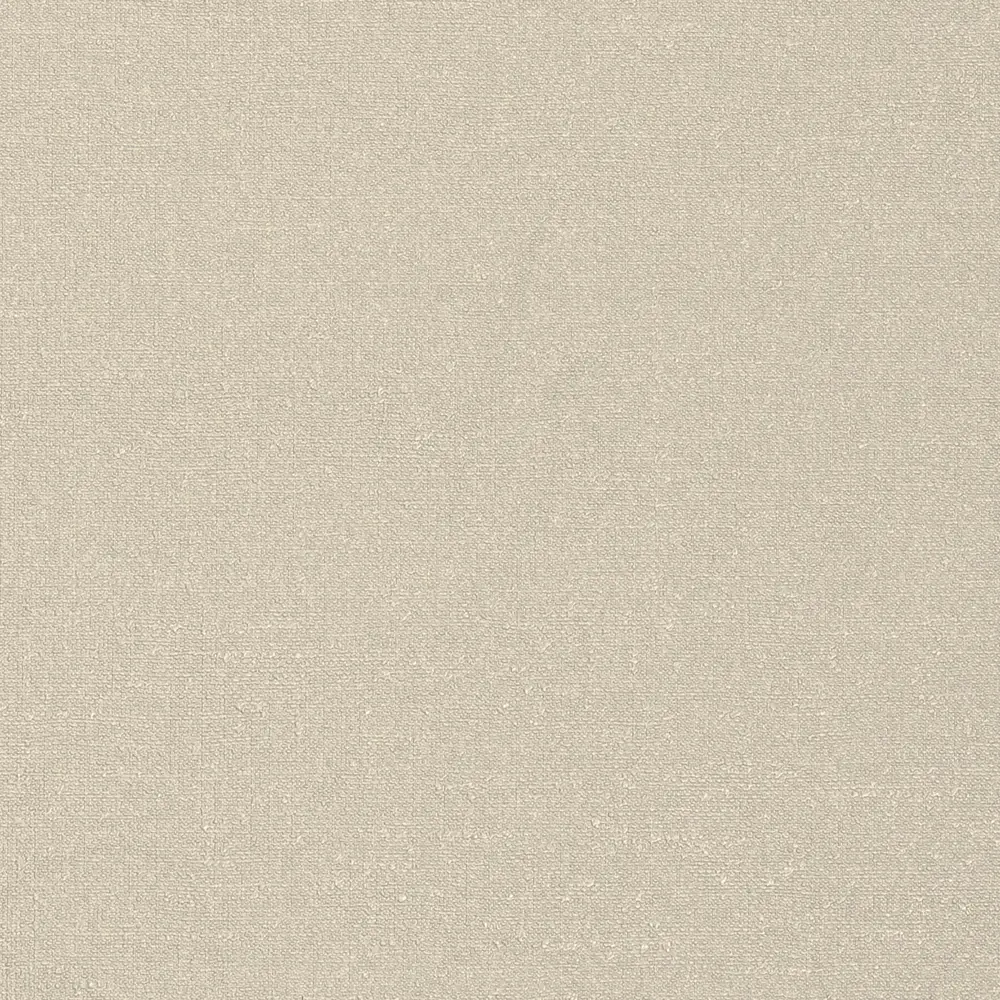 Обои флизелиновые Ateliero Estetica бежевые 1.06 м 89432672 STLM-1575722 - Вид №1