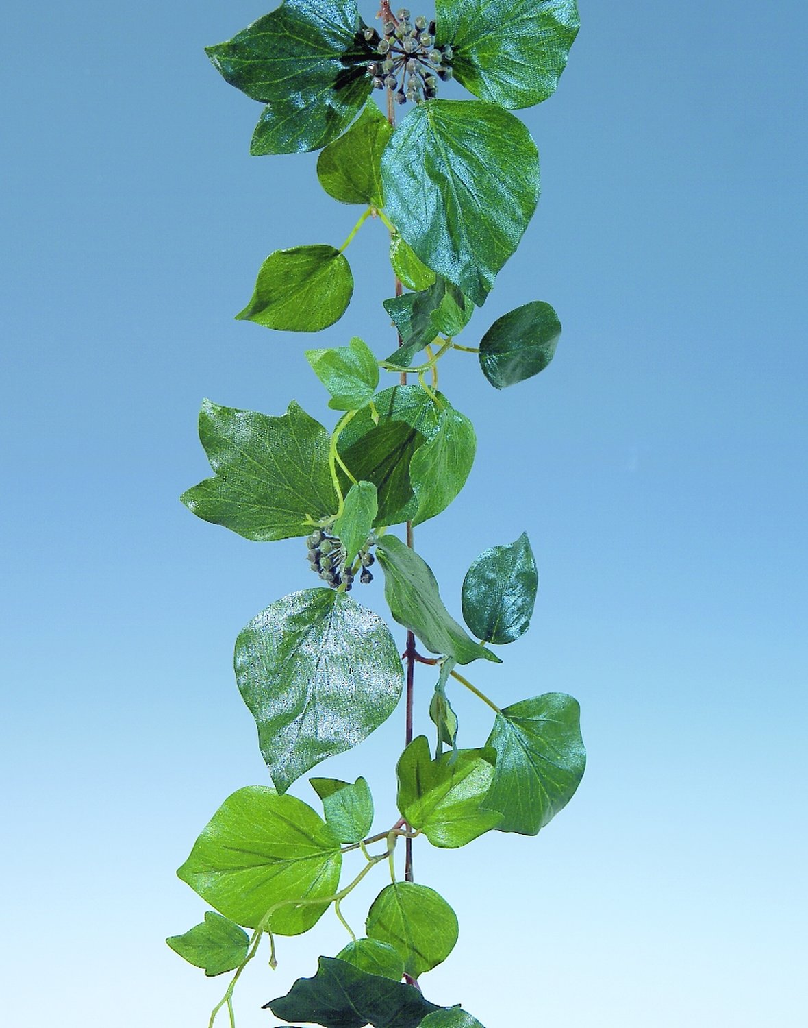 6742 883 a2 Гирлянда из искусственного черного тополя, 180 см, зеленая H-andreas  - Вид №2