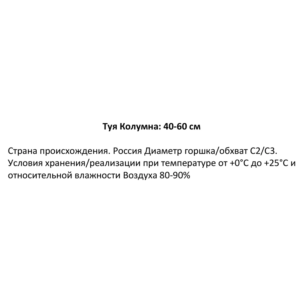 Туя Колумна ø19 см h40-60 см 85088182 STLM-2066138 Santreyd  - Вид №1