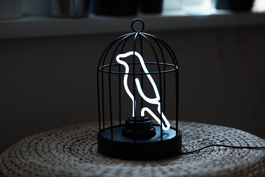 Лампа настольная неоновая с подвесом 25,5х16 см черная Bird in a Cage SK NEONBIRD1 SUCK UK  00-3880793 Черный  - Вид №1