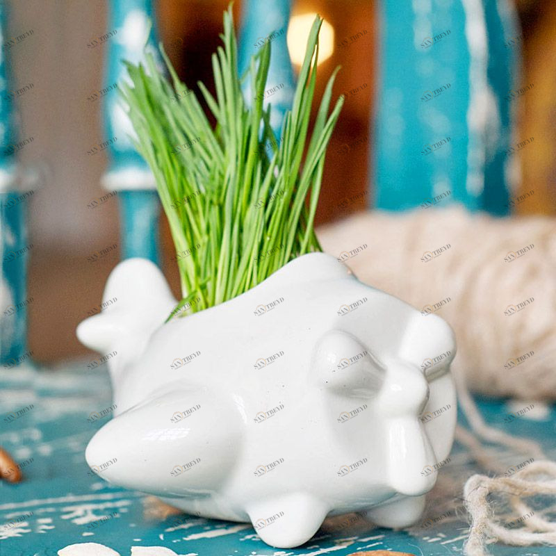 Набор для выращивания Eco Самолет ЭКОЧЕЛОВЕКИ 7001