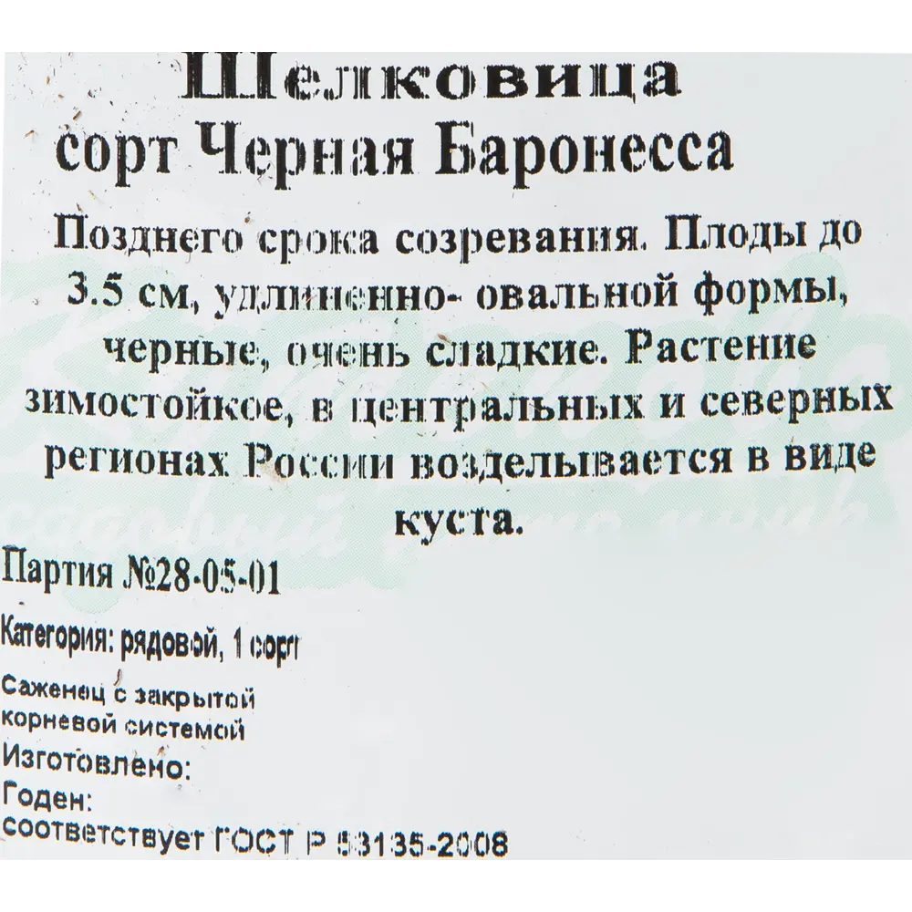 Шелковица «Чёрная Баронесса» C4 высота 60 см 82597150 STLM-2100630 Santreyd  - Вид №1