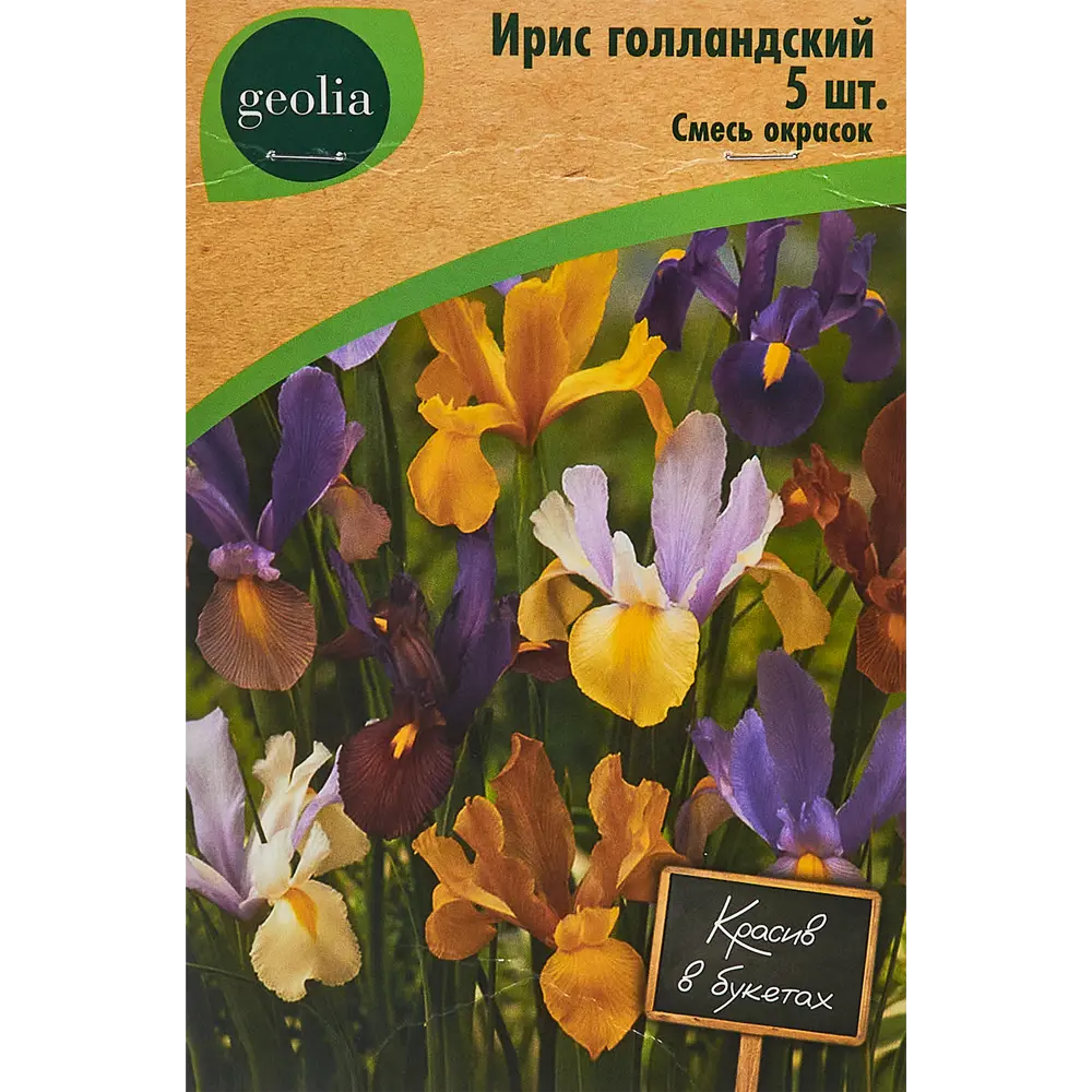 Ирис голландский смесь окрасок 5 шт 86408571 STLM-2103861 Santreyd 