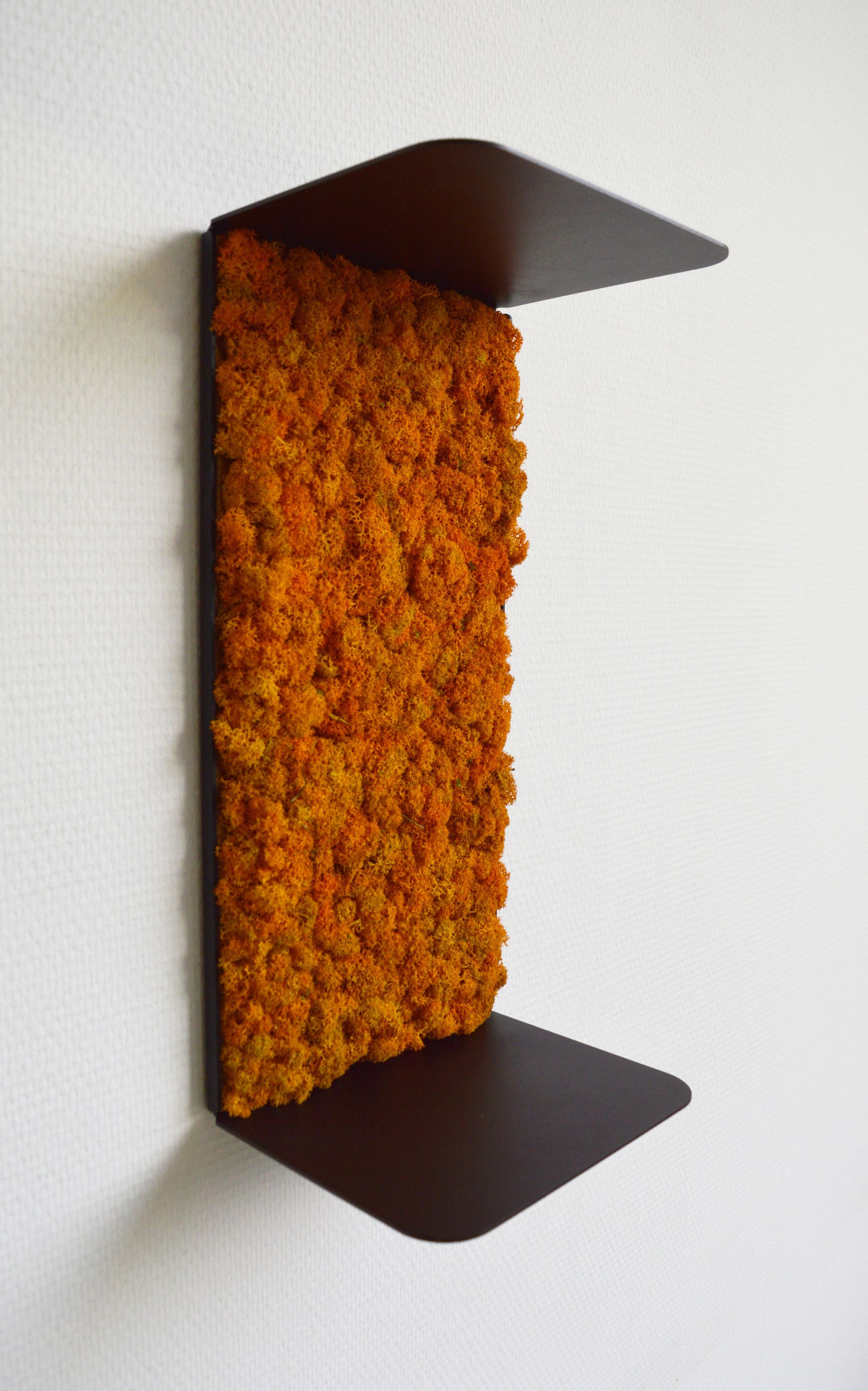 Звукопоглощающая полка из мха GREENMOOD ORIGAMI ARCH-00074294 - Вид №17