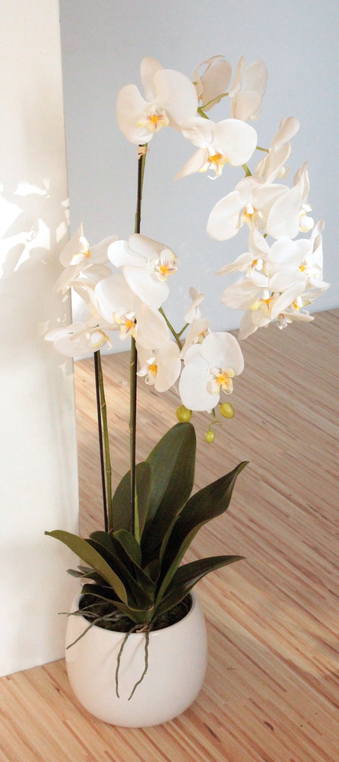 2604 778 a3 Искусственная орхидея Phalaenopsis, 2-х кратная, в керамическом горшке, 100 см, real touch, бежево-белая H-andreas  - Вид №12