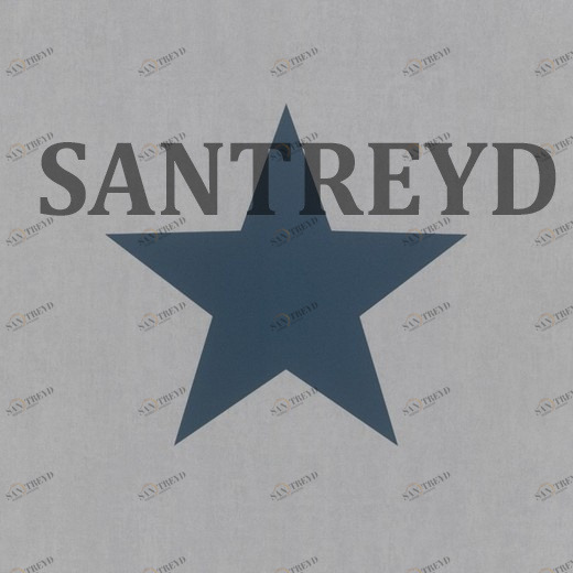 248104 Обои Rasch Kids & Teens II