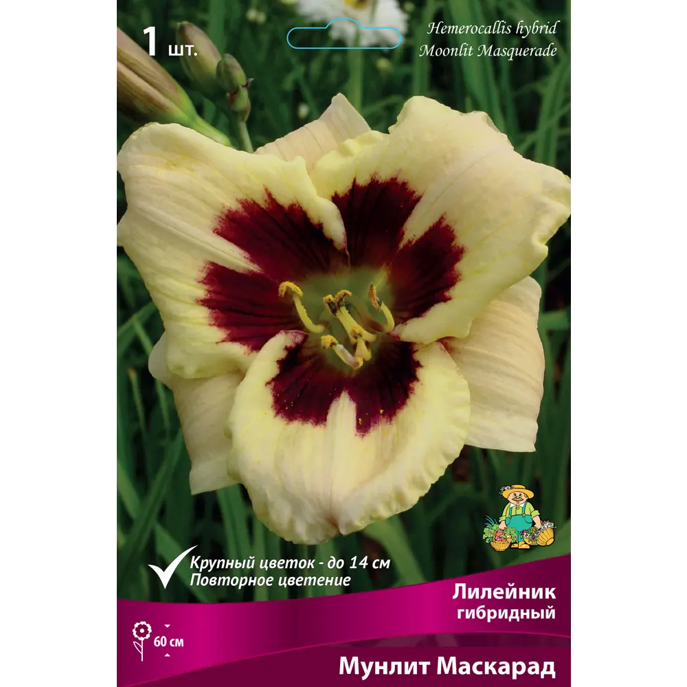 Лилейник гибридный Мунлит Маскарад 85205697 STLM-2132909 ПОИСК 