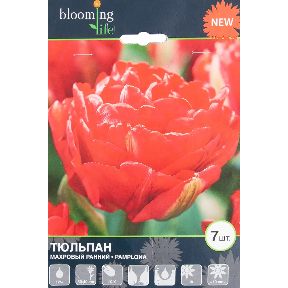Тюльпан «Памплона» размер луковицы 12, 7 шт. 82665845 STLM-2145510 BLOOMING LIFE 