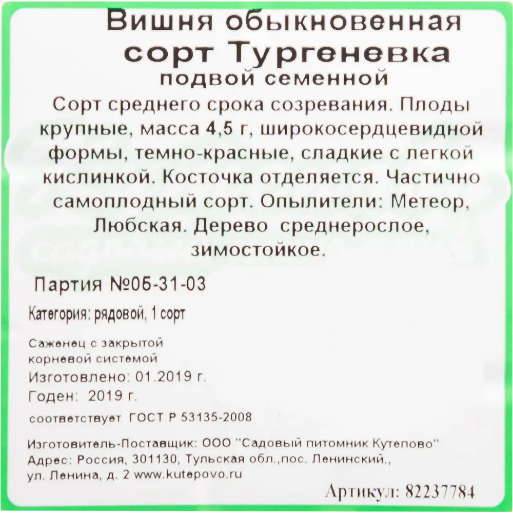 Вишня «Тургеневка» С7 180 см 82237784 STLM-2085462 Santreyd  - Вид №1