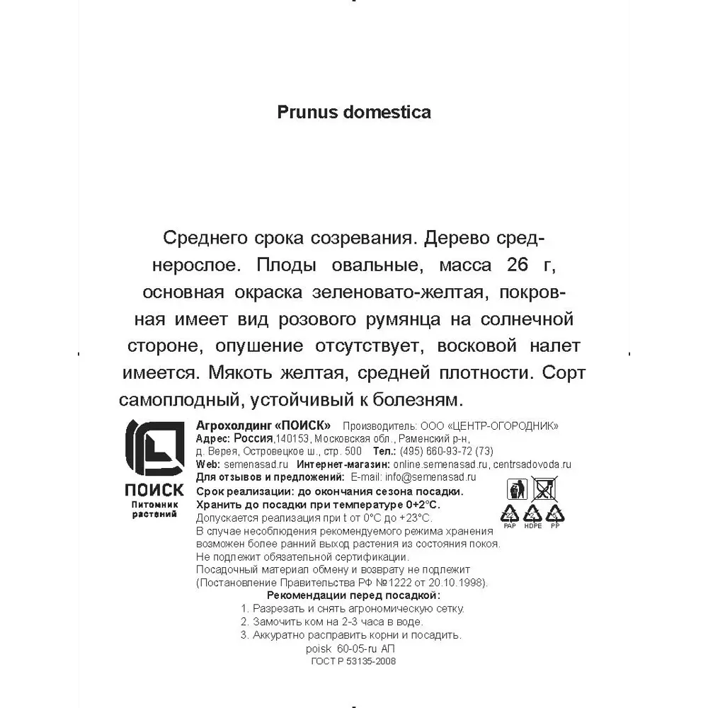 Слива Утро h200 см Поиск Инвест 84399322 STLM-2056187 Santreyd  - Вид №2