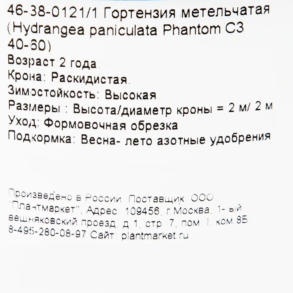 Гортензия метельчатая «Фантом» C3 40-60 см 82356727 STLM-2021969 PLANTMARKET  - Вид №1