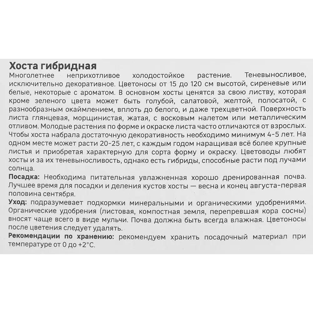 Хоста гибридная Фрейгрант Букет Santreyd STLM-2212405 - Вид №3