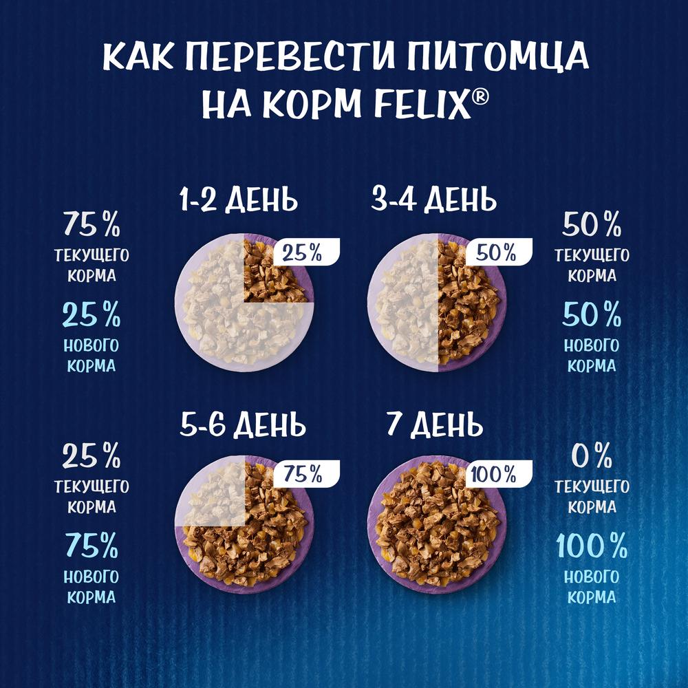 ПР0036734 Корм для кошек Аппетитные кусочки. Двойная вкуснятина с лососем и форелью в желе, пауч 85 г FELIX  - Вид №7