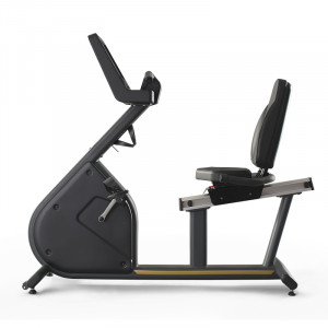 1FXT002 Велотренажер panatta horizontal bike fenix 1fxt002 с touch-дисплеем Panatta