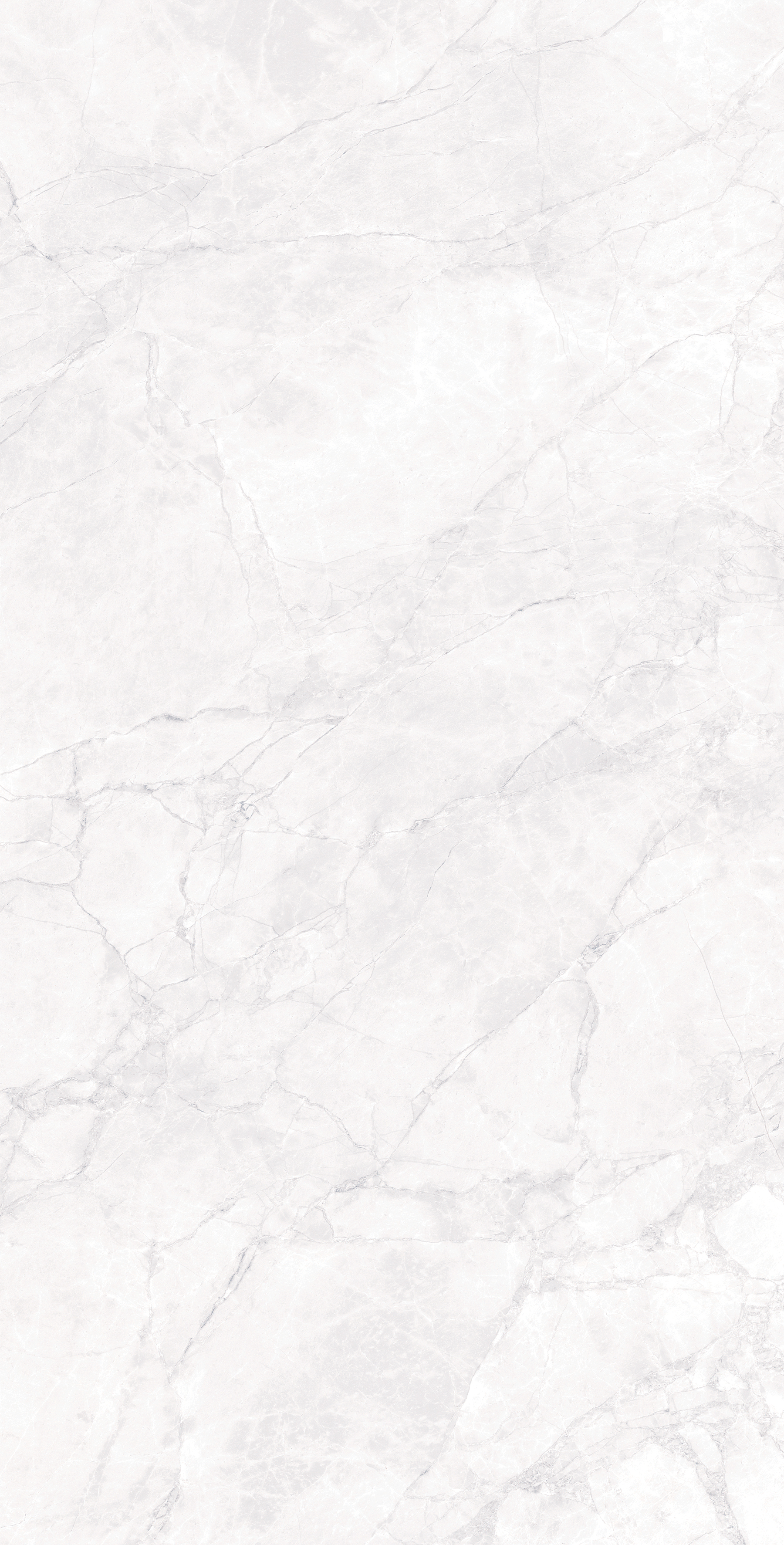 ARCTIC WHITE ARCADIA CERAMICA CR4007-A - Вид №5
