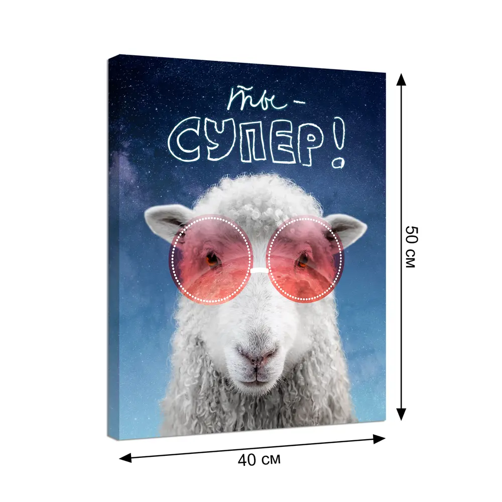 Картина на холсте Ты супер! 40х50 см Santreyd STLM-2009319 - Вид №3