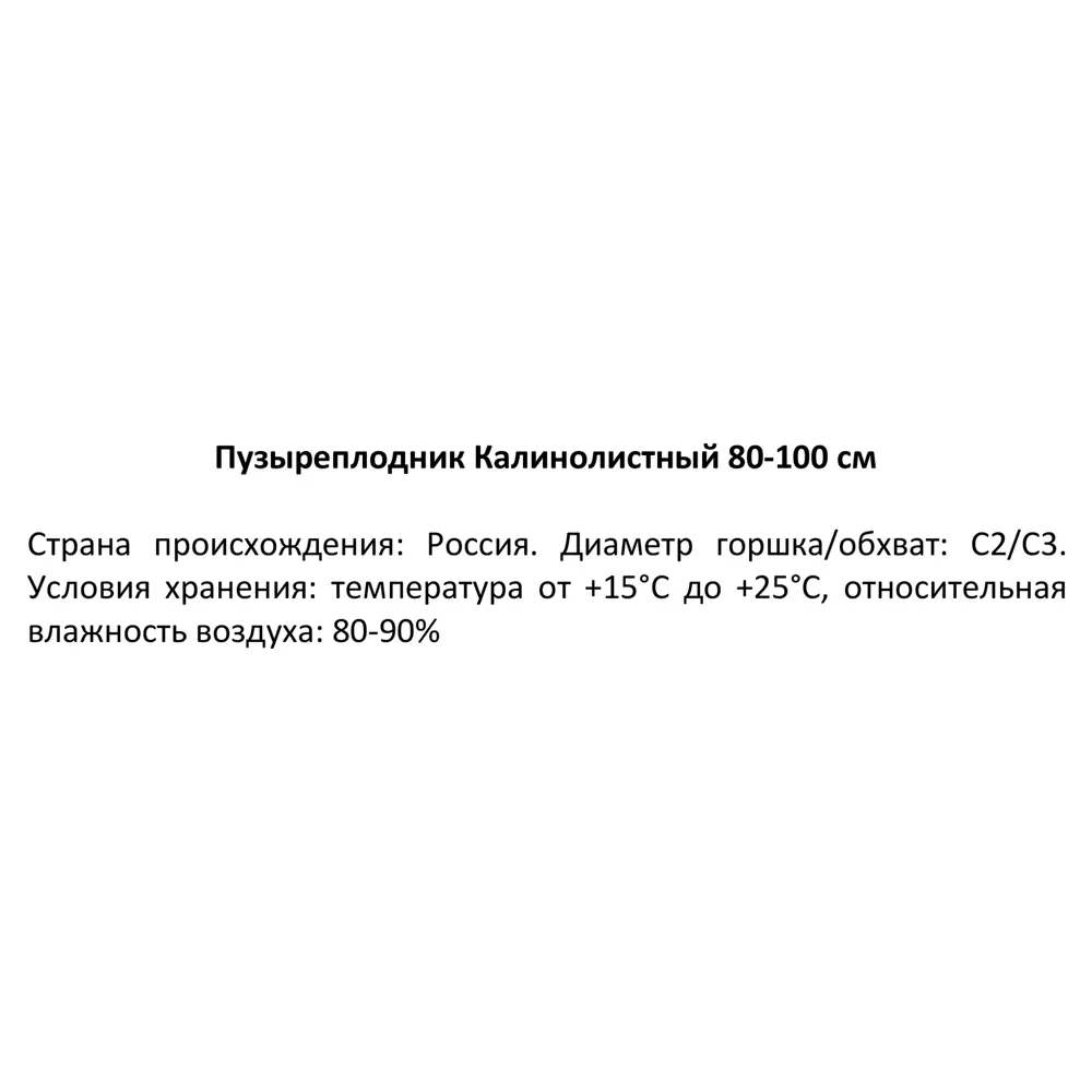 Пузыреплодник Калинолистный h80-100 см 85320147 STLM-2155453 Santreyd  - Вид №3