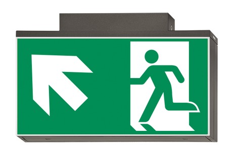 DST-794 Lisu ceiling-mounted Daisalux Светильники аварийные Металлический Серый 