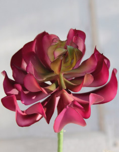 6487 849 a3 Эониум искусственный на палочке, 13 см, Ø 10 см, зелено-бордовый H-andreas