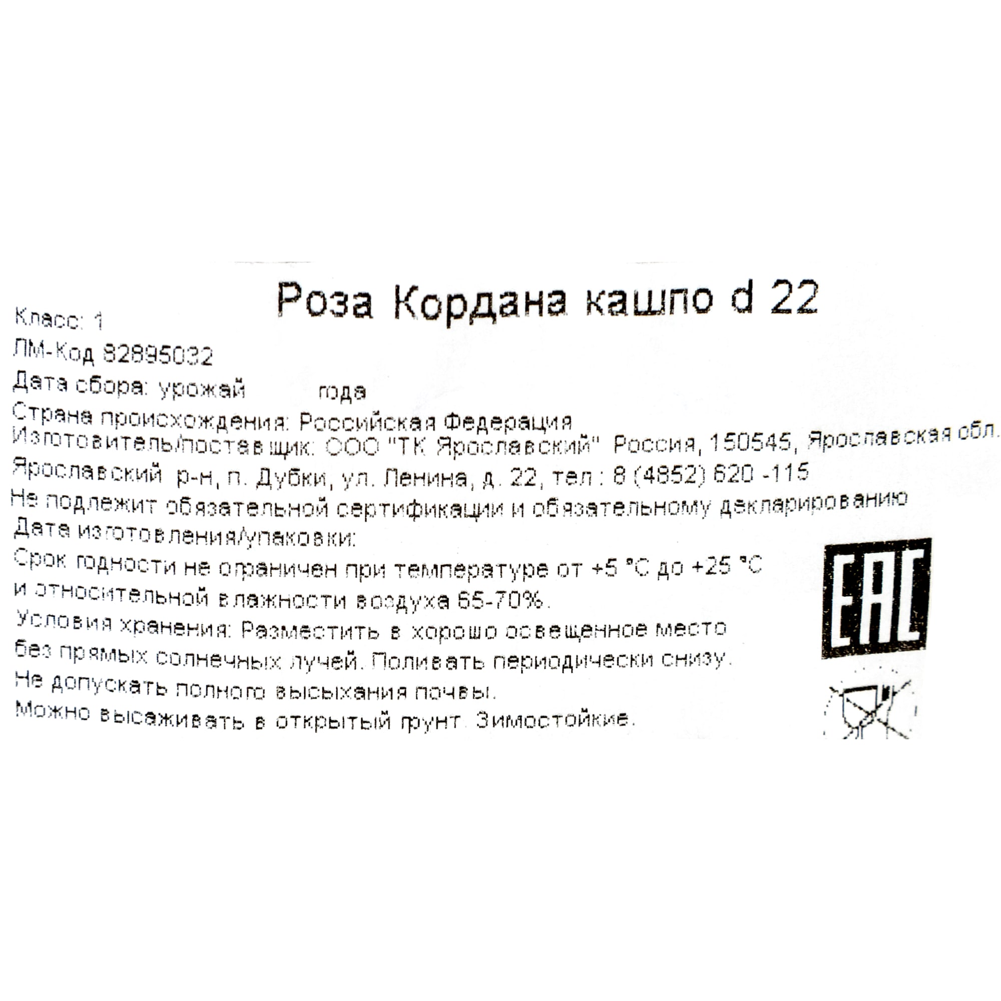 82895032 Роза Кордана в кашпо 22x22 см Santreyd  - Вид №2