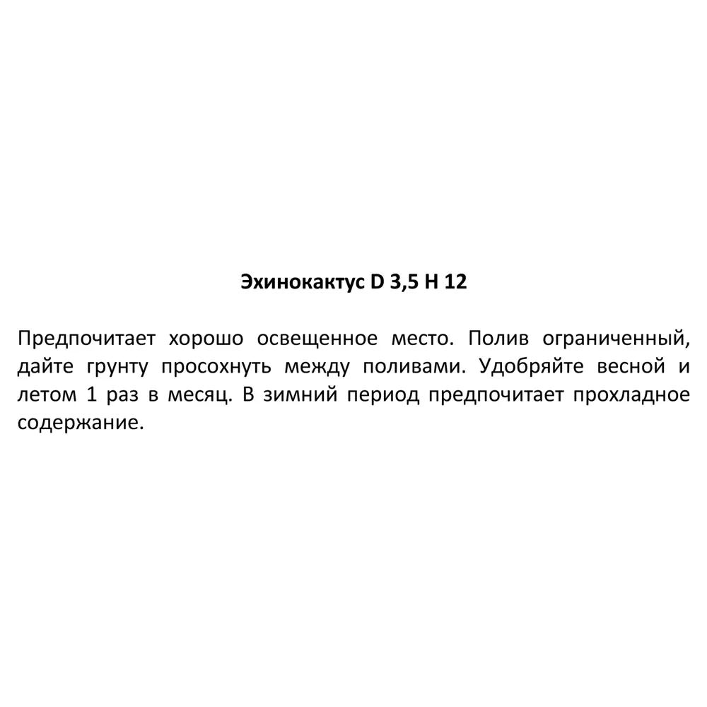 Эхинокактус ø8.5 h12 см 85394515 STLM-2136858 Santreyd  - Вид №3