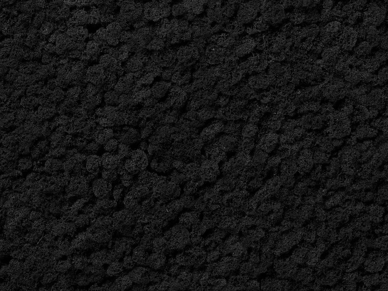 Растительная стена из мха Freund GmbH Green ARCH-00131248 - Вид №24