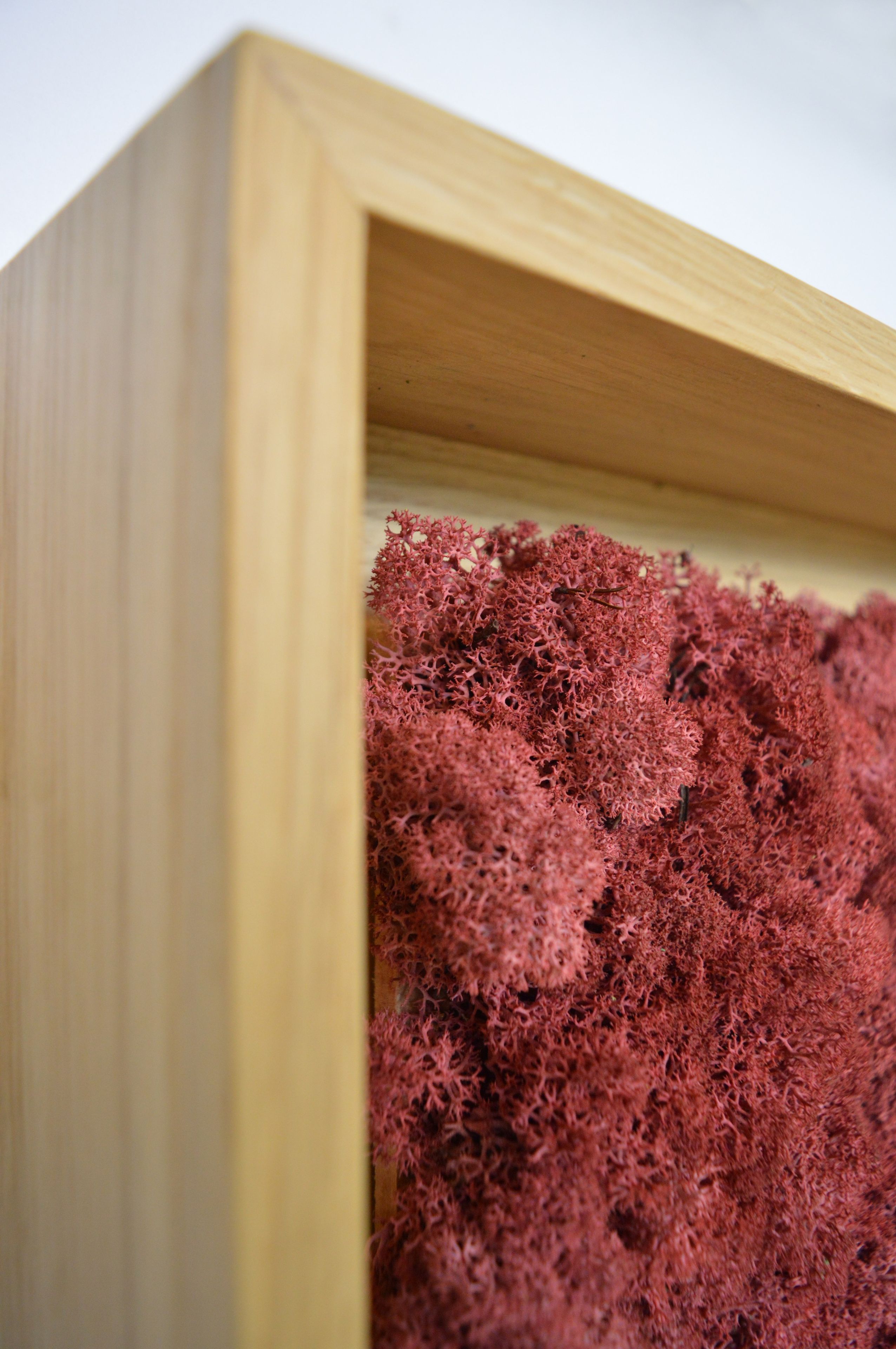 Акустическая панель из мха GREENMOOD FRAMED LANDSCAPE ARCH-00143245 - Вид №20