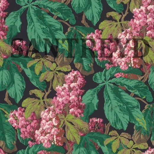 256535 Обои Aquarelle Cassata