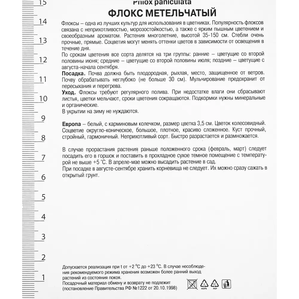 Флокс метельчатый Европа от Santreyd - белый с розовой сердцевиной 82118752 STLM-0956465 - Вид №1