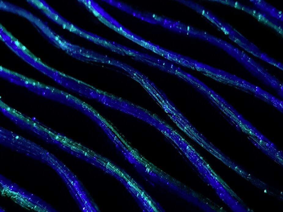 Яркая ткань DREAMLUX® DREAMLUX® FLUID ARCH-00050261