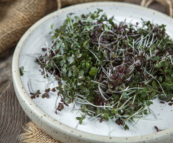 4678 Микрозелень Мизуны красной Вкусляндия  - Вид №1