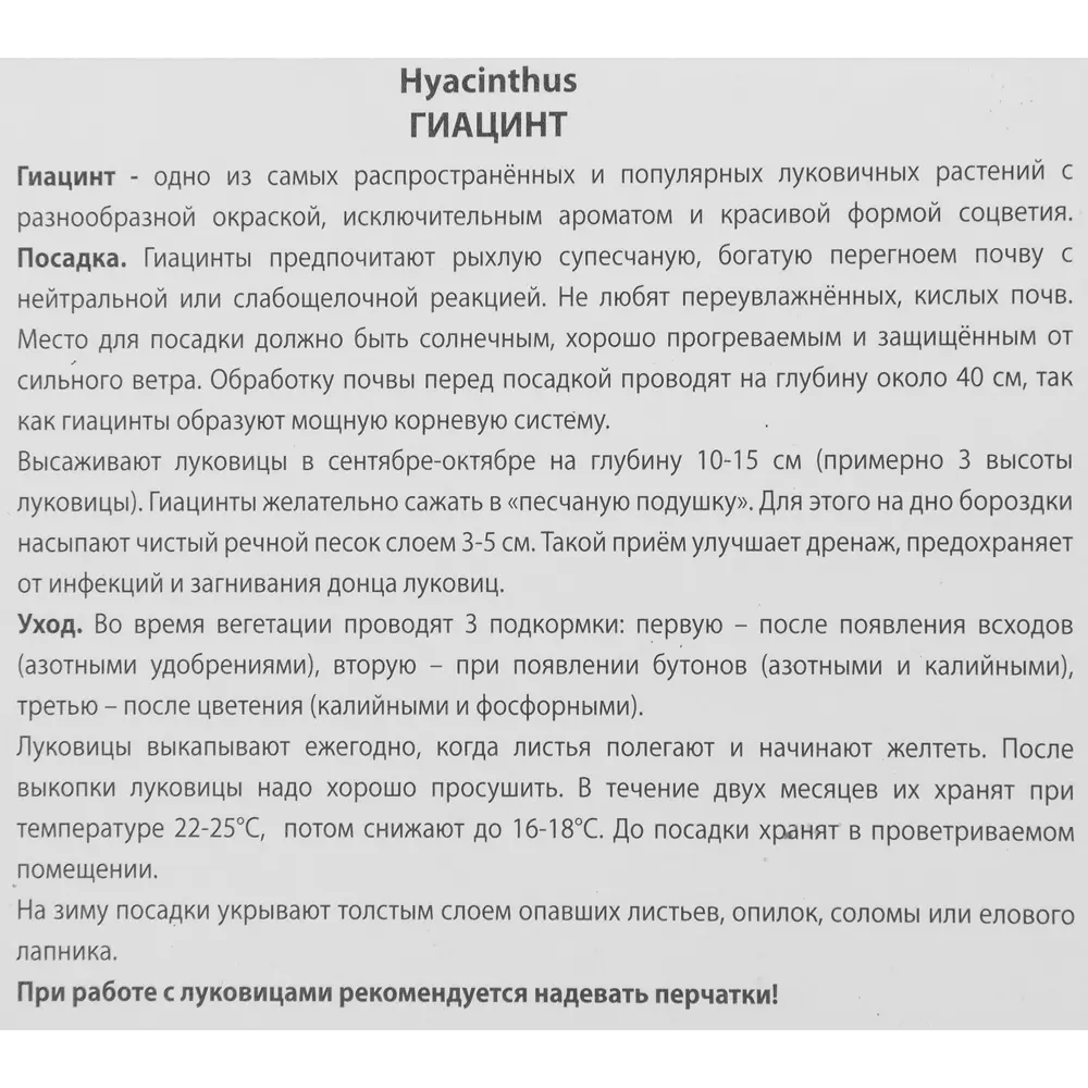 Гиацинт садовый Аква, 3 шт 85204909 STLM-2006218 ПОИСК  - Вид №2