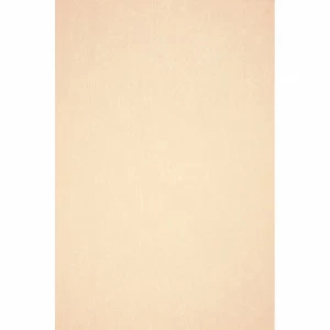 Рулон обоев SO COLOR 3 SOO26930137. Основа нетканый винил