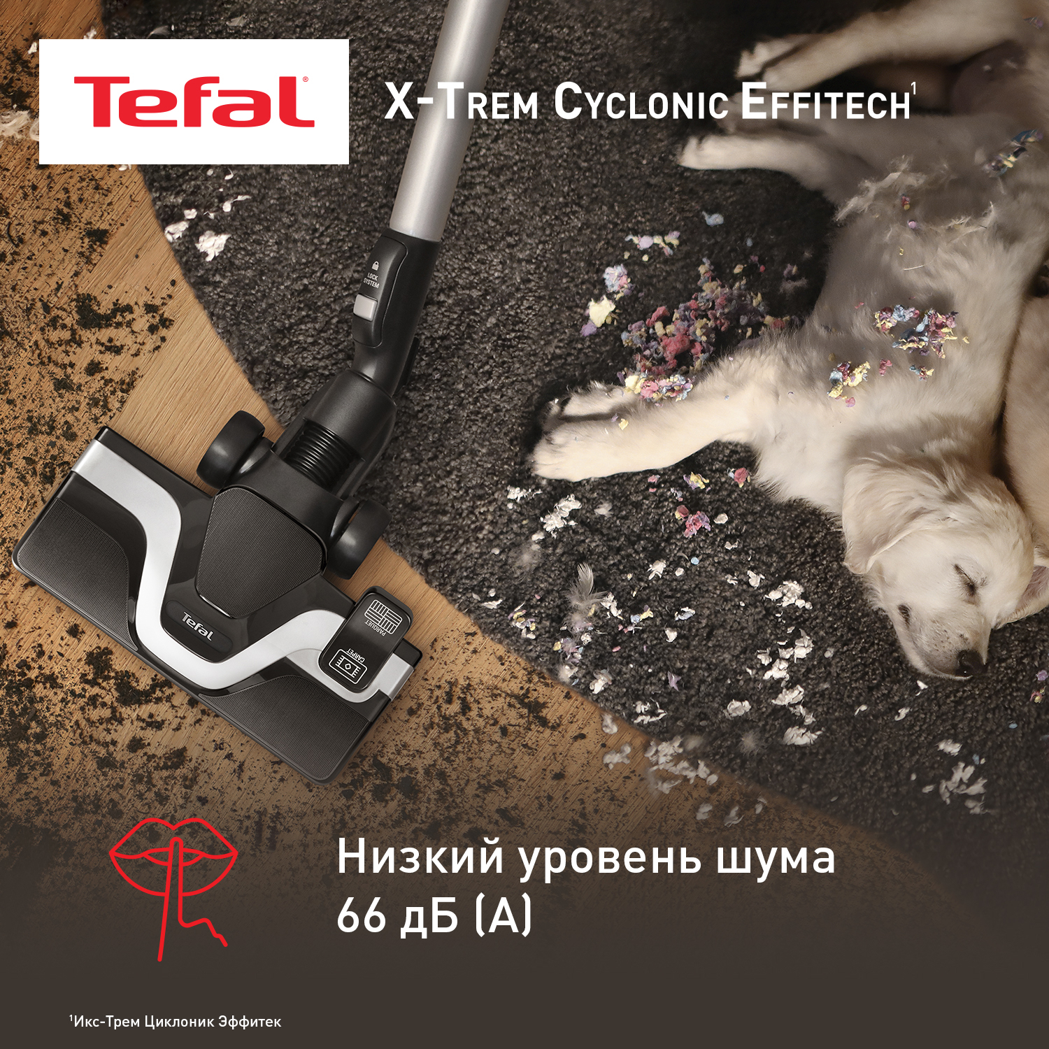 9267009 Пылесос Tefal X-Trem Cyclonic Effitech TW7C71EA черный STDN-0142852 - Вид №4