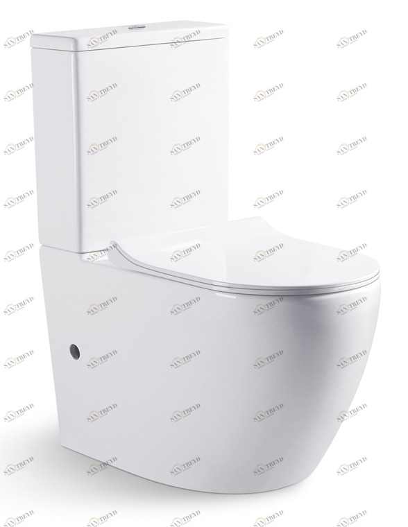 CX01008UW Компакт унитаз с бачком Белый Bravat Gina Турция