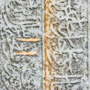 2171/CX38 Картина 2171 Adriani e Rossi