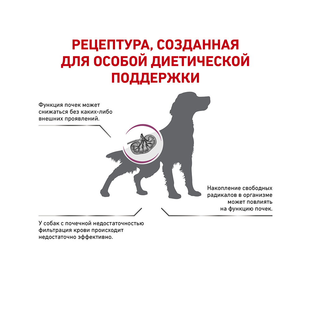 ПР0056153 Корм для собак Vet Diet Early Renal при ранней стадии почечной недостаточности сух. 7кг ROYAL CANIN  - Вид №2