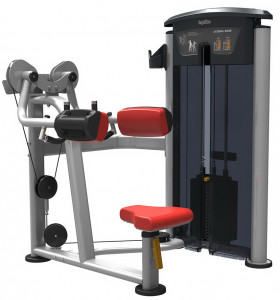 IT9524 Aerofit it9524 дельтовидные AeroFIT IT95 серия