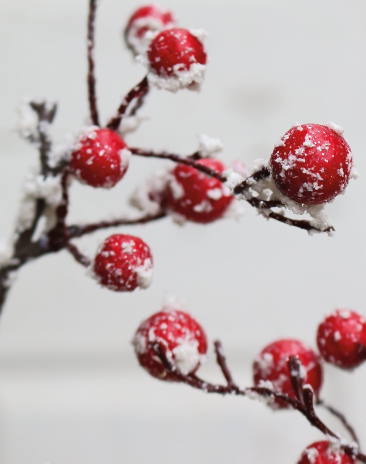 1095 407 a3 Ветка искусственной ягоды со снегом, 101 см, красно-белая H-andreas  - Вид №2