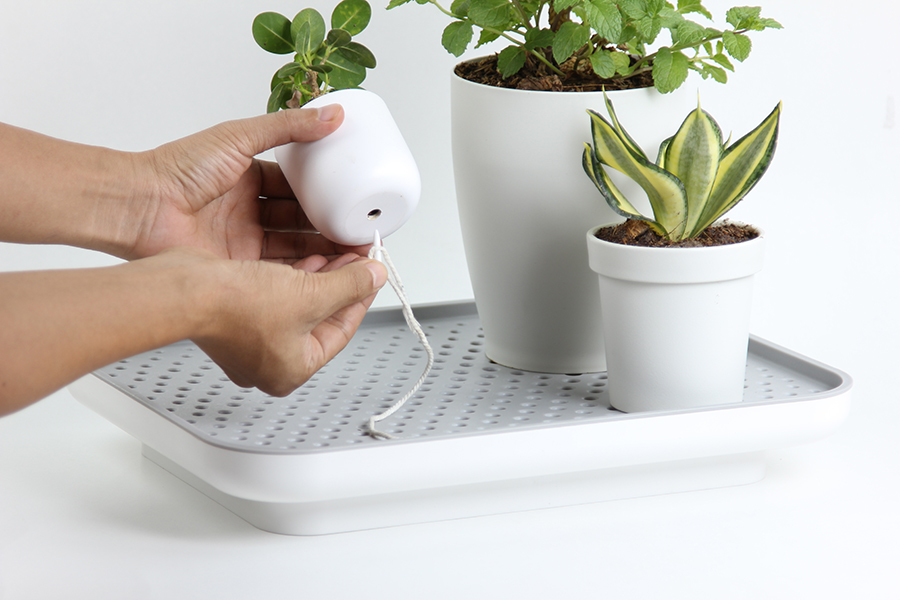 QL10309-WH-GY Лоток для полива растений oasis tray белый Qualy  - Вид №5