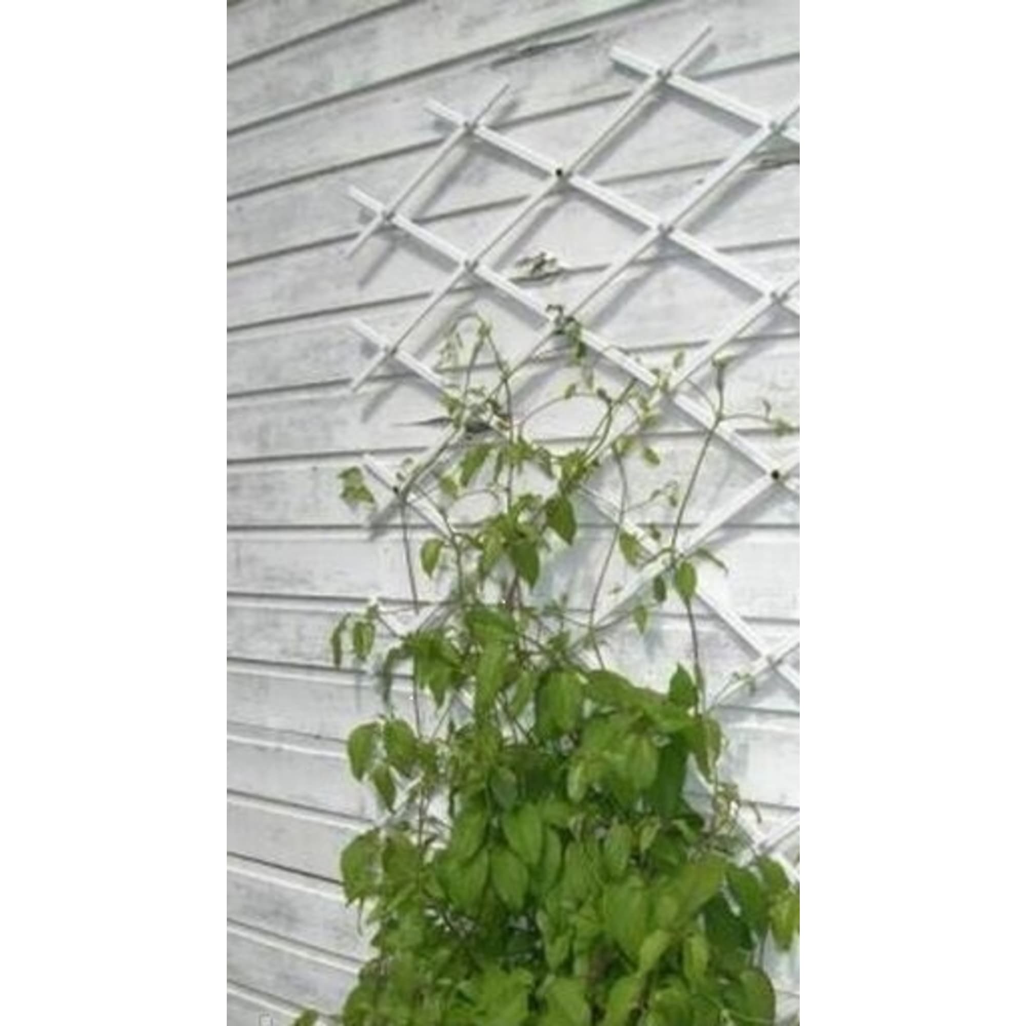 83823780 Шпалера для вьющихся растений 78x188 см Santreyd  - Вид №2